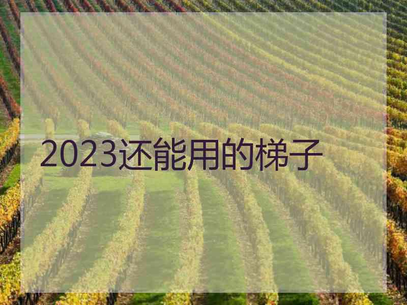 2023还能用的梯子