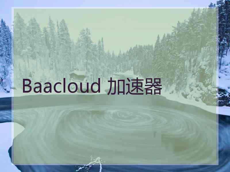 Baacloud 加速器