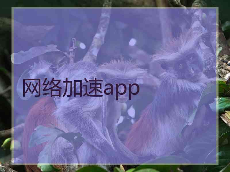 网络加速app