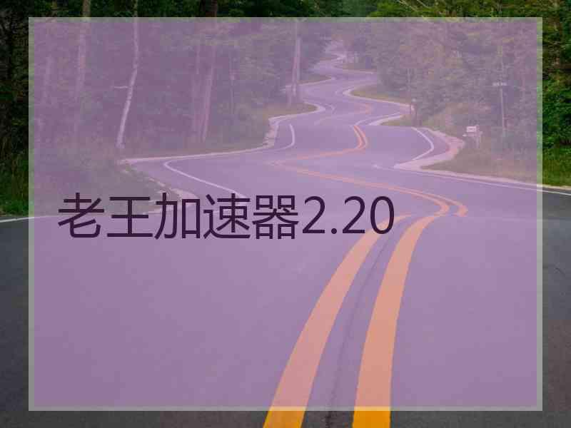 老王加速器2.20