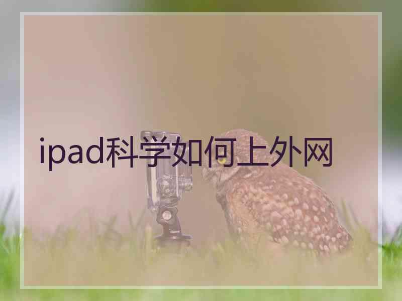 ipad科学如何上外网