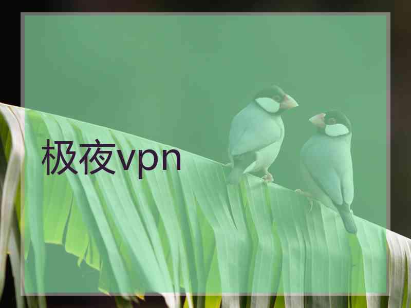 极夜vpn