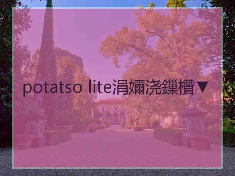 potatso lite涓嬭浇鏁欑▼