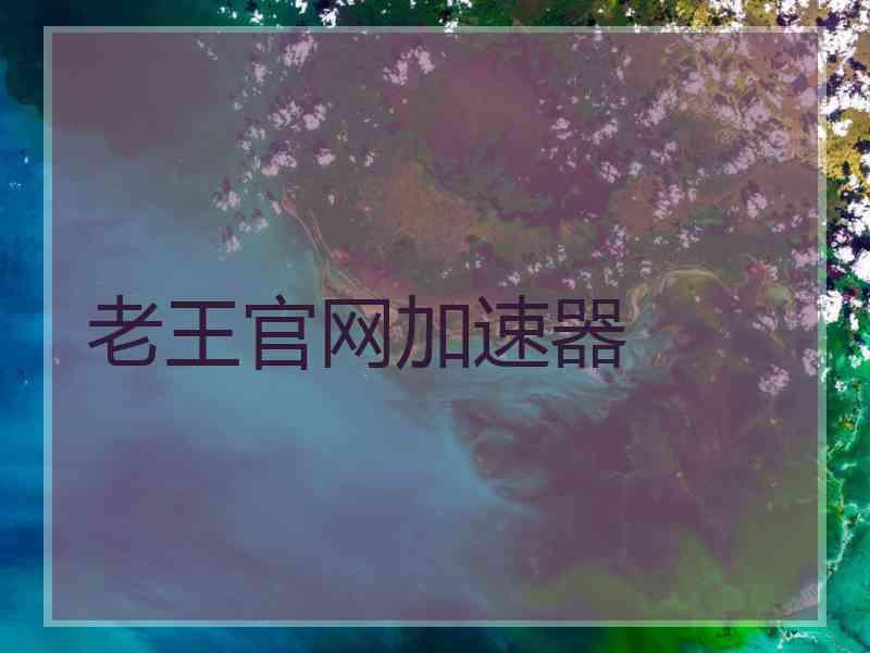 老王官网加速器