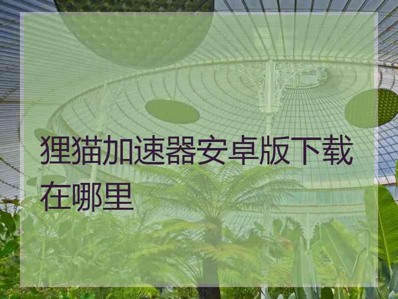 狸猫加速器安卓版下载在哪里