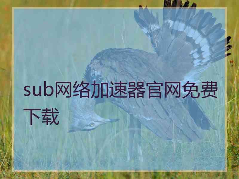 sub网络加速器官网免费下载