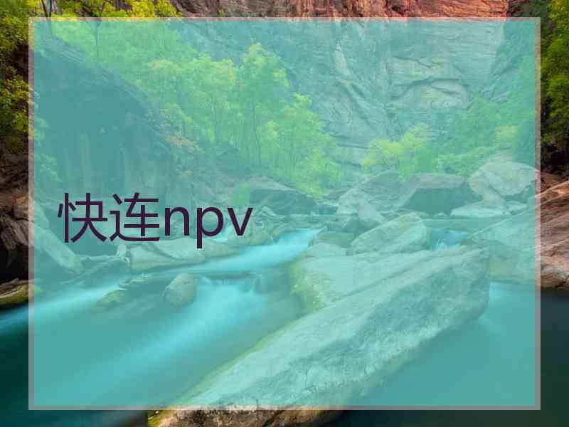 快连npv