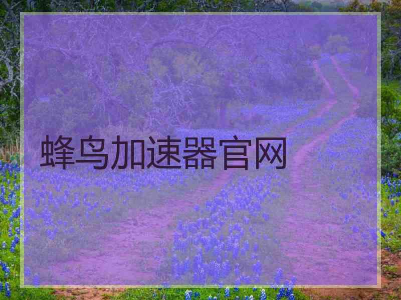 蜂鸟加速器官网