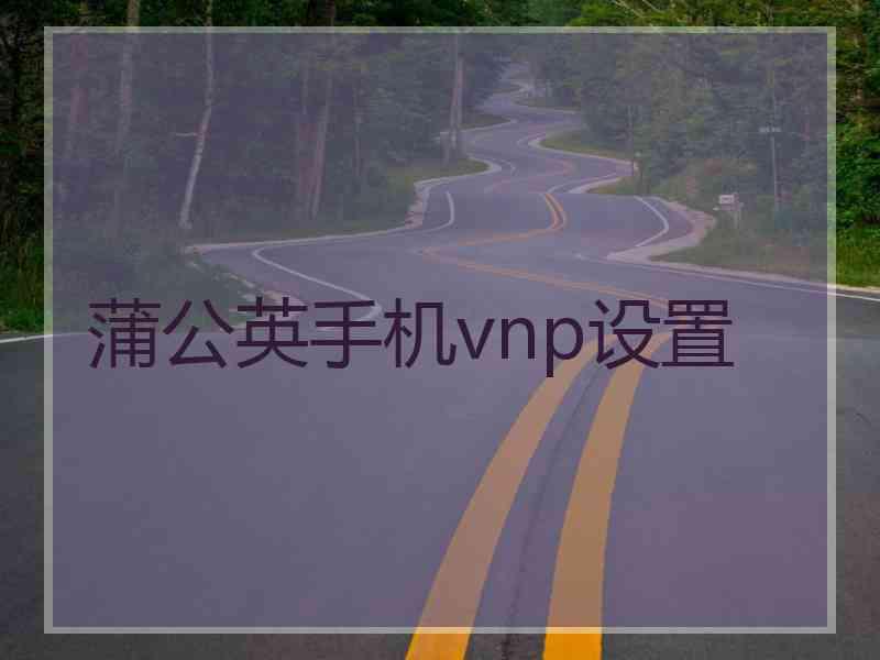 蒲公英手机vnp设置