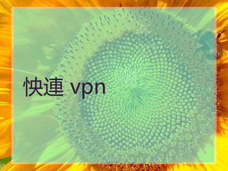 怏連 vpn