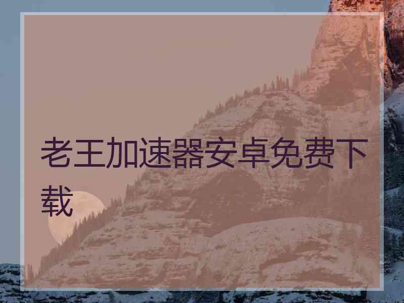 老王加速器安卓免费下载