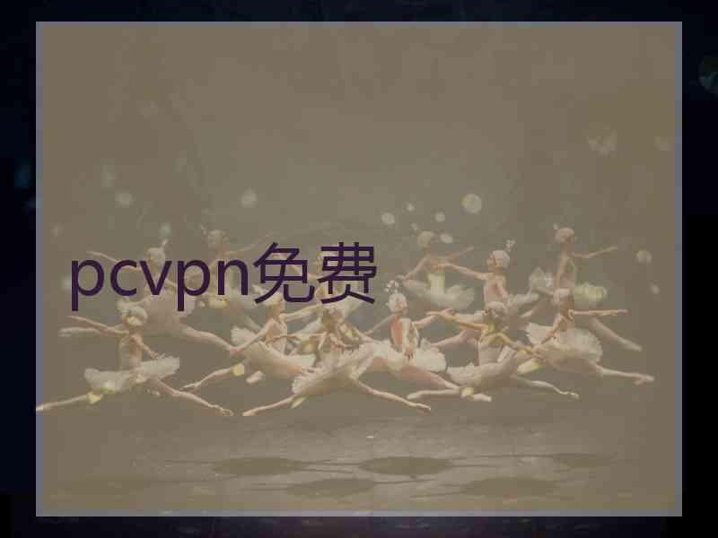 pcvpn免费