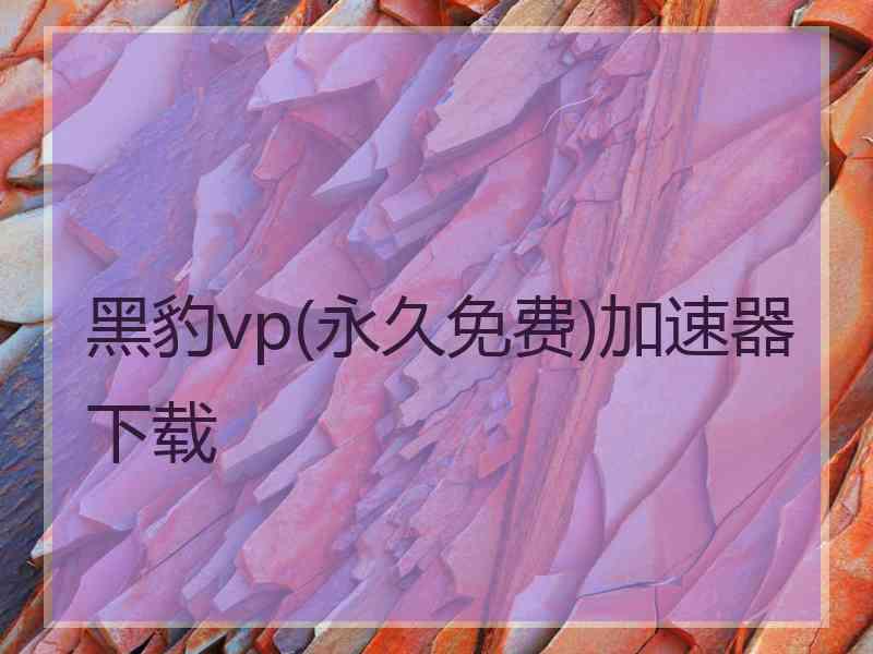 黑豹vp(永久免费)加速器下载