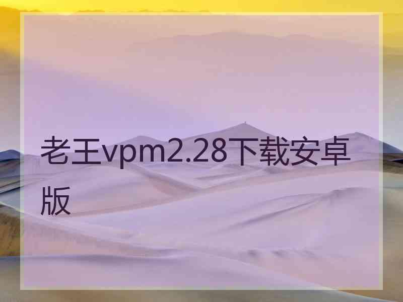 老王vpm2.28下载安卓版