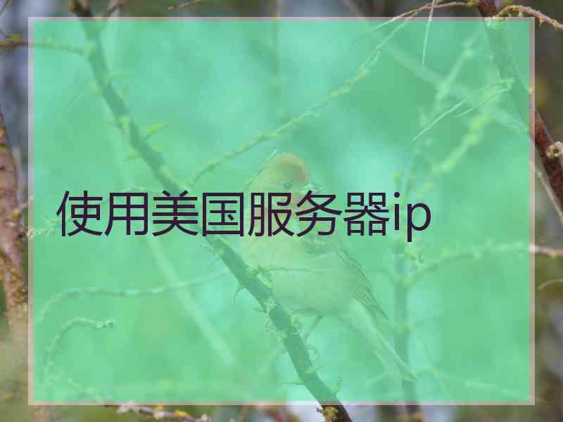 使用美国服务器ip