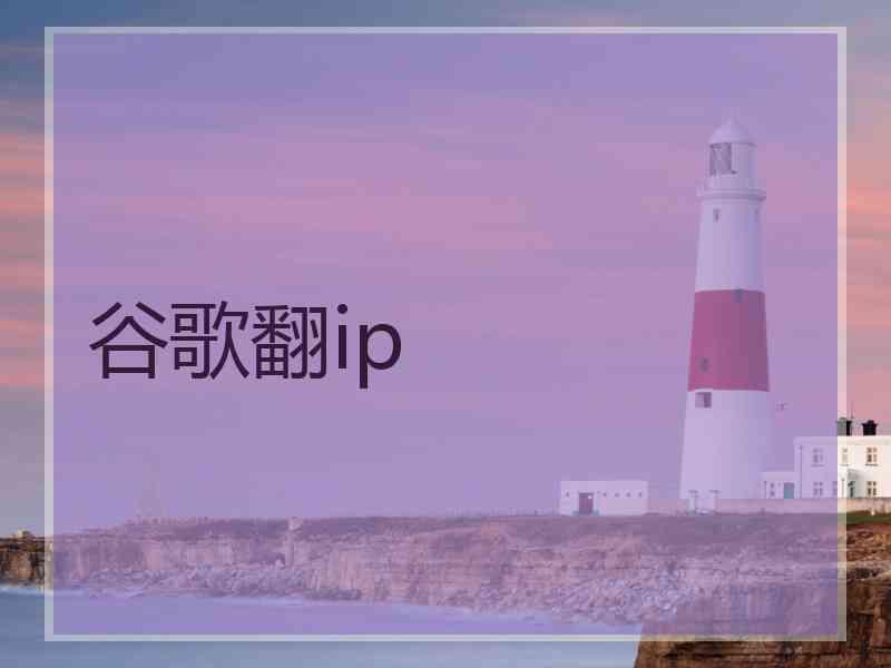 谷歌翻ip