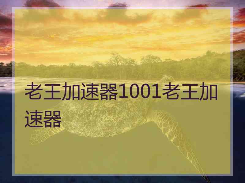 老王加速器1001老王加速器