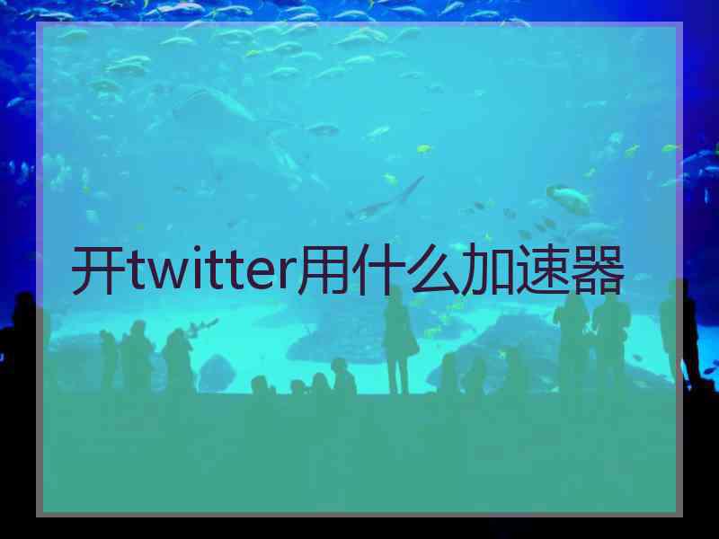 开twitter用什么加速器