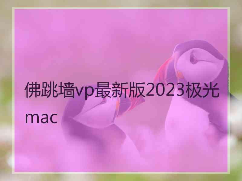 佛跳墙vp最新版2023极光 mac