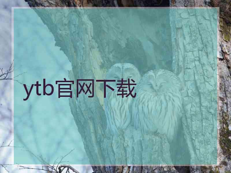 ytb官网下载