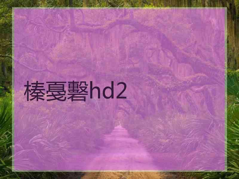 榛戞礊hd2