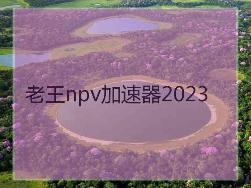 老王npv加速器2023