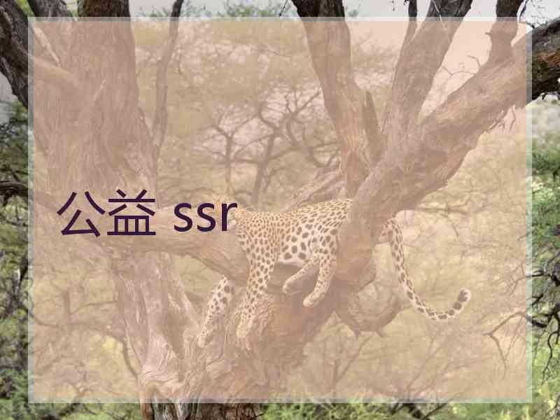 公益 ssr