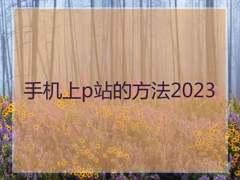 手机上p站的方法2023