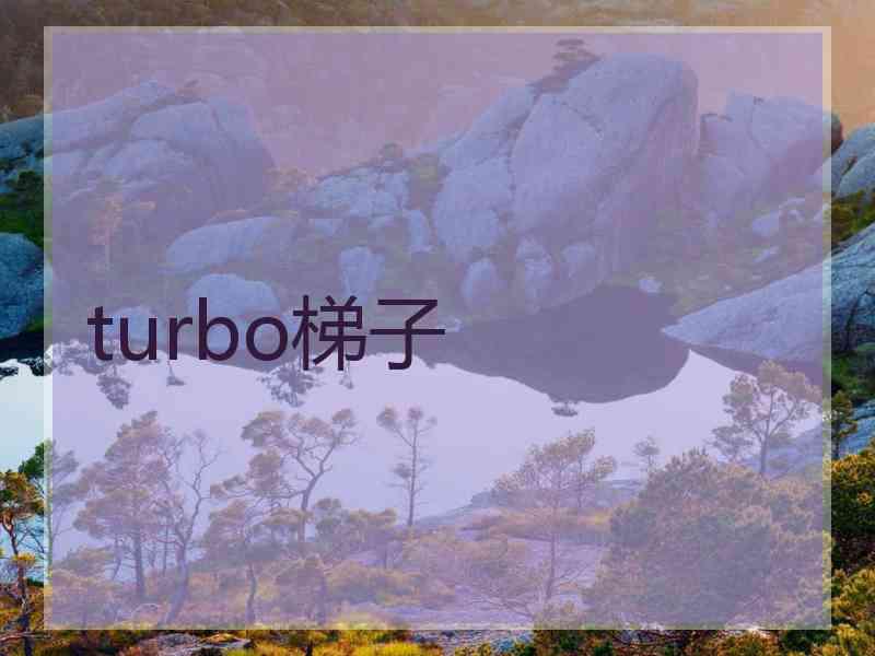 turbo梯子