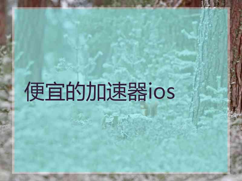 便宜的加速器ios