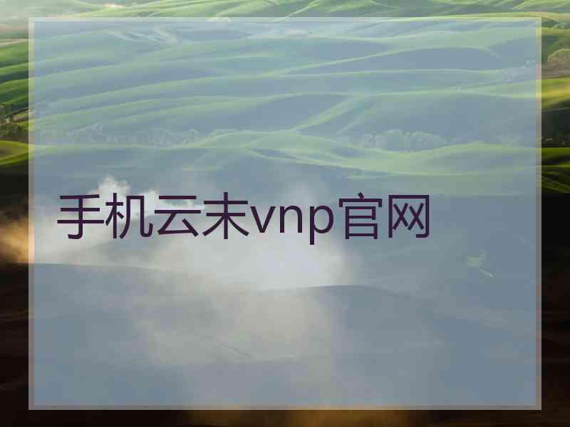 手机云末vnp官网