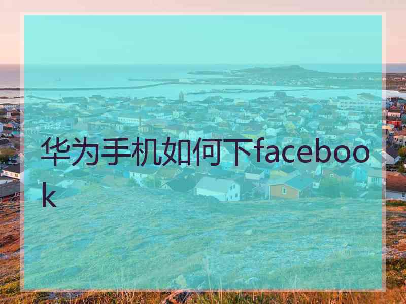 华为手机如何下facebook