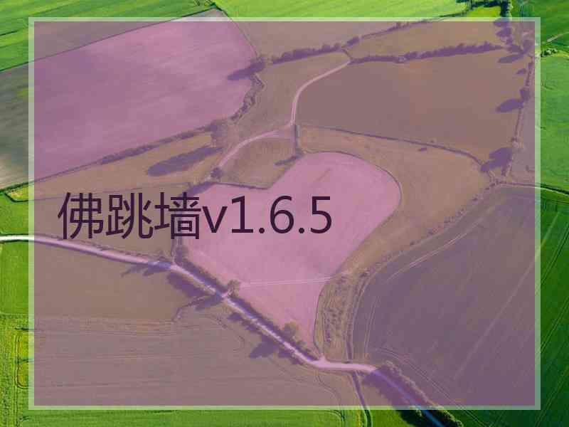 佛跳墙v1.6.5