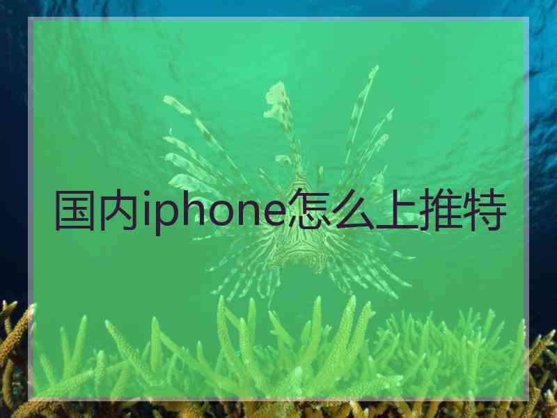 国内iphone怎么上推特