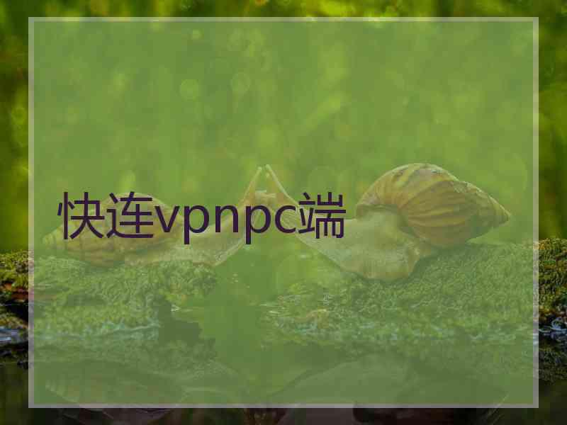 快连vpnpc端