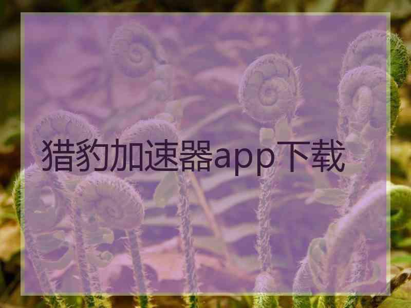 猎豹加速器app下载