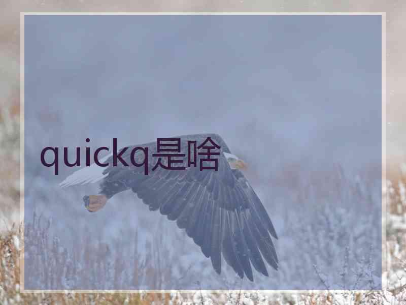 quickq是啥