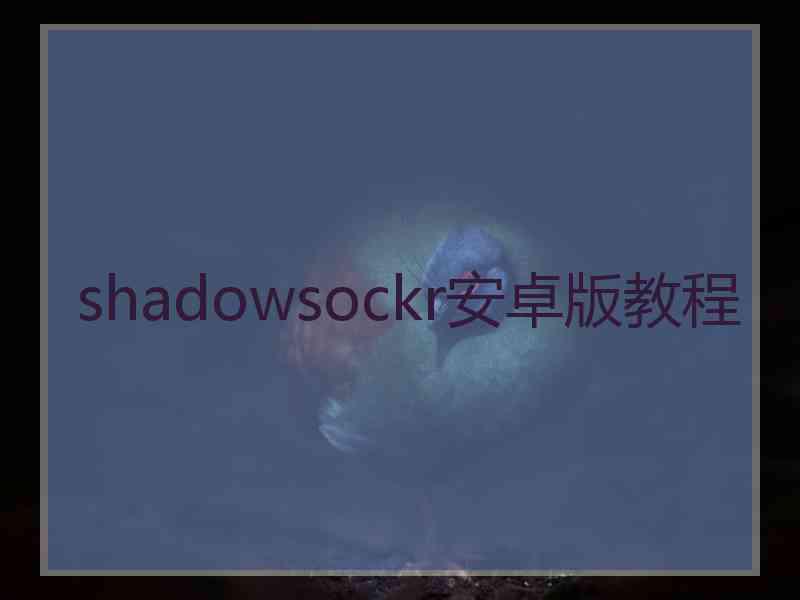 shadowsockr安卓版教程