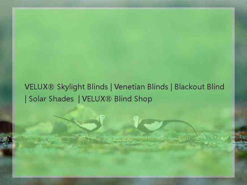 VELUX® Skylight Blinds | Venetian Blinds | Blackout Blind | Solar Shades  | VELUX® Blind Shop