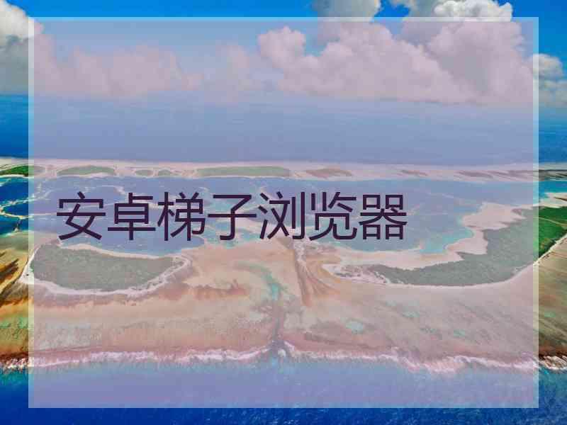 安卓梯子浏览器