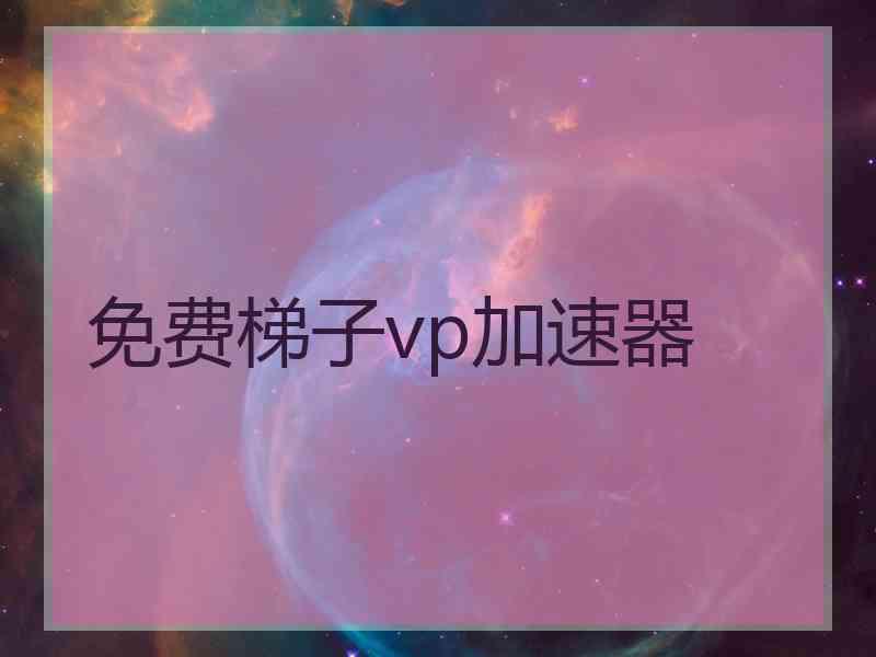 免费梯子vp加速器