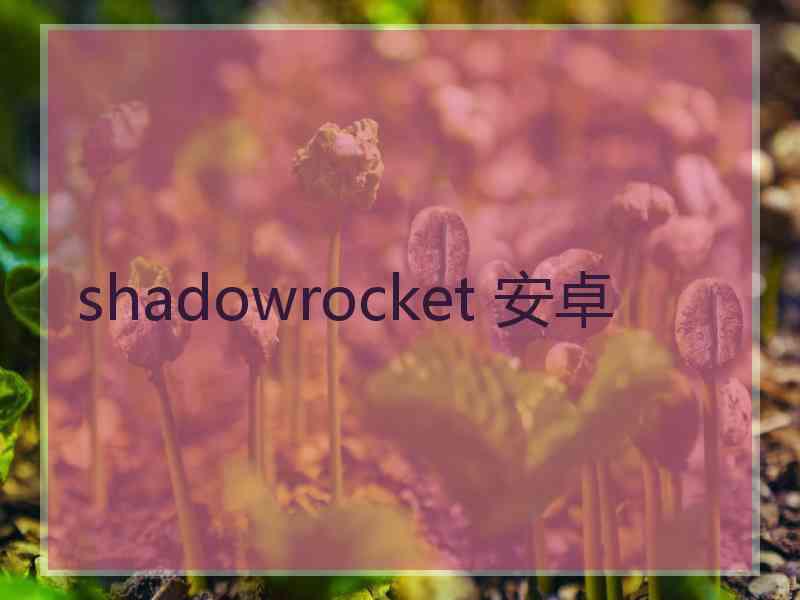 shadowrocket 安卓