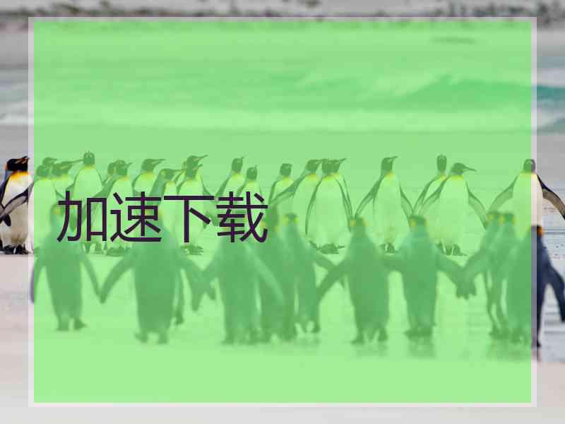 加速下载