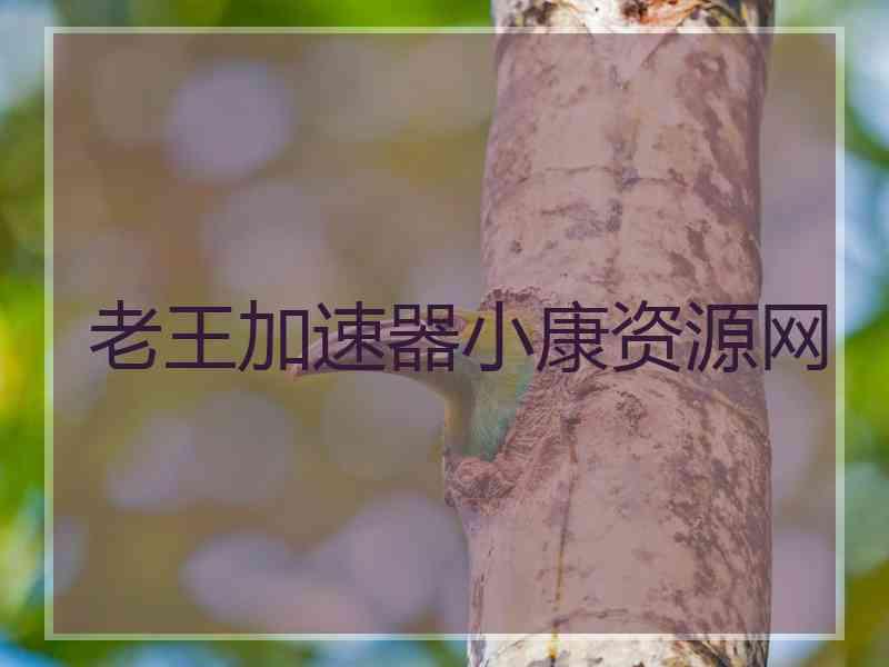 老王加速器小康资源网