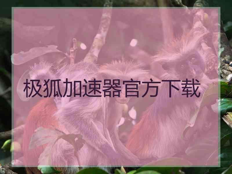 极狐加速器官方下载