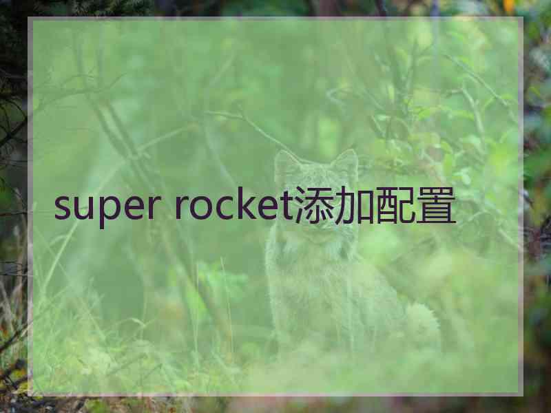 super rocket添加配置