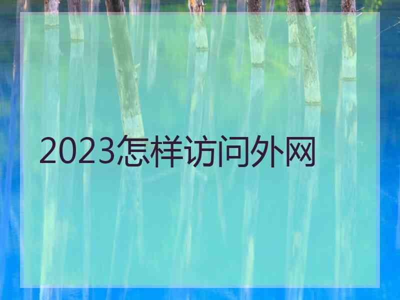 2023怎样访问外网