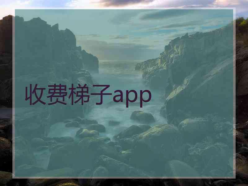 收费梯子app