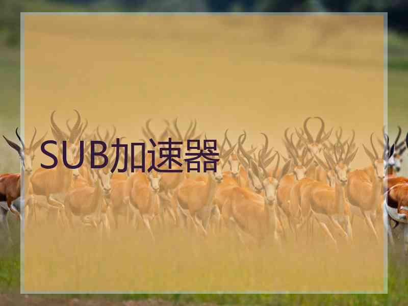 SUB加速器