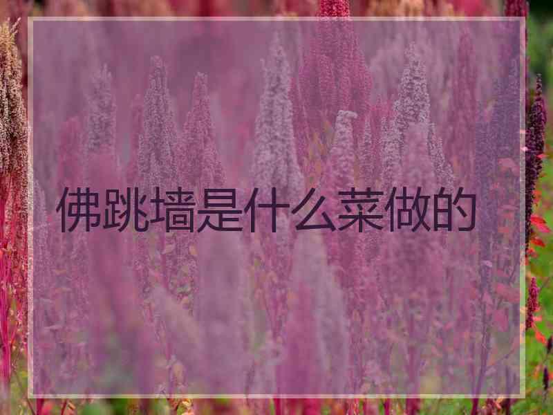 佛跳墙是什么菜做的